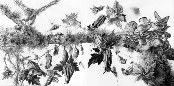branch
2  12" x 12" panels
graphite on clayboard