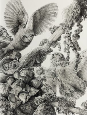 parry
graphite on clayboard
18" x 24"
2024